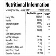 Shriska Fat Burner Tablets